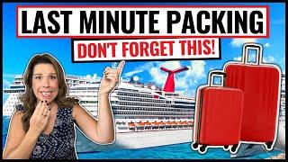 15 *LAST-MINUTE* Things to Pack & Do Before a Cruise