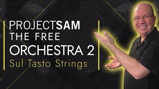 The Free Orchestra 2 Sul Tasto Strings | Gifts From Project SAM