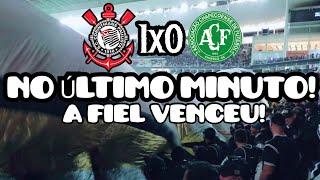 100% do PÚBLICO! Torcida do CORINTHIANS INFLAMADA contra a Chapecoense | Corinthians 1x0 Chape