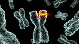 Positive Selection: Is the Human Genome Evolving?