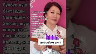 Кызжибек "САГЫНДЫМ СЕНИ"