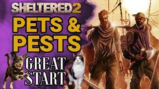 SHELTERED 2 | CAT VS DOG | PETS & PESTS UPDATE | GREAT START | S1 E1