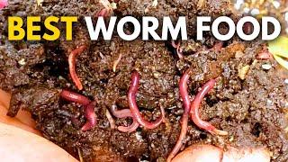 What to Feed Worms: Vermicompost Made EASY