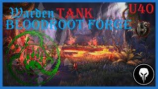 ESO Bloodroot Forge Trifecta, Warden Tank POV, PS5 EU, U40