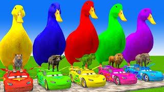 5 Giant Duck Cartoon,Cow,Elephant,Giraffe,Tiger,Lion, Paint Wild Animals Crossing Fountain Animation