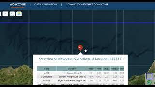 Metocean Analytics Demo | Comprehensive Ocean Data & Forecasting Tool