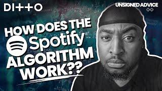 How does the Spotify Algorithm work? Streaming Hacks for Musicians | Ditto Music