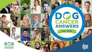 Dog Cancer Answers: Expert Advice & Support for Dog Owners