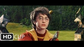 First Quidditch Match | Harry Potter and the Sorcerer's Stone