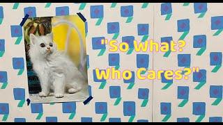 "So What? Who Cares?" From Yarn House S1E1