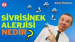 WHAT IS GOOD FOR MOSQUITO ALLERGY - Allergy Doctor Prof. Dr. Ahmet AKCAY