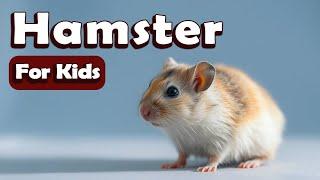 Hamster for Kids | Learn About Wild Animals for Kids