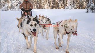 Winter in holidays in Pello Lapland Finland - Arctic Circle destination