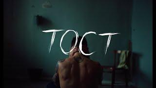 тима ищет свет - тост (official video)