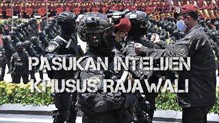 Pasukan Intelejen Khusus Rajawali - Pasukan Khusus BIN