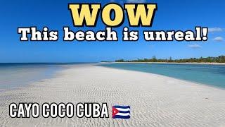 This IS the reason WHY you go to CAYO COCO CUBA! 2024