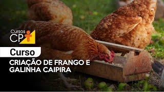 Criação de Frango e Galinha Caipira l Cursos CPT