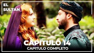 El Sultán | Capitulo 14 Completo