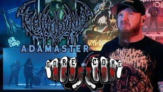 Reaction | Vulvodynia - Adamaster