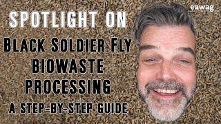 Spotlight Video - Black Soldier Fly Biowaste Processing