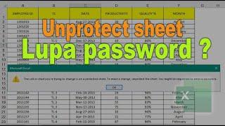 Unprotect sheet excel lupa password