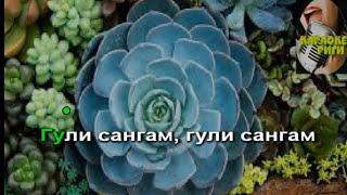 Гули сангам- каменный цветок - караоке (женская тональность)