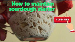 How to maintain whole wheat sourdough starter (RAVNEET BHALLA SOURDOUGH India GUIDE)