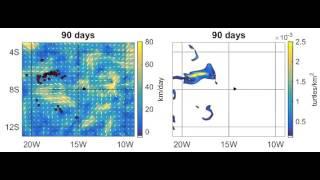 Computer simulations of green turtle navigation to Ascension Island: "pure drifters"