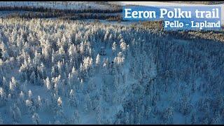 Snowshoeing in Eeron Polku trail in Pello Lapland Finland - Arctic circle winter lumikenkäily Lappi