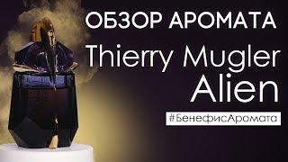 Обзор и отзывы о Thierry Mugler Alien (Тьерри Мюглер Алиен) от Духи.рф | Бенефис аромата