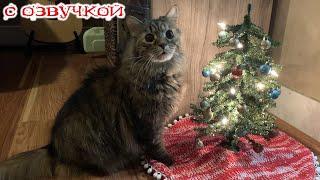 Приколы с котами! НОВОГОДНЯЯ ОЗВУЧКА!  Самые смешные животные! СМЕШНЫЕ КОТЫ И СОБАКИ!