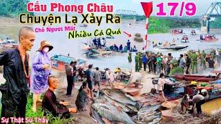 Kỳ lạ Cầu Phong Châu cá chỗ người mất trúng nhiều quá, Sự thật Sư Thầy làm điều lạ