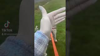 Gloves ASMR #gloves #asmrtriggers #glovesounds #asmrvideos #asmrmedical #nails #asmrvideo #asmrsound