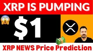 XRP is Pumping  XRP News Today in Urdu Hindi XRP Price Prediction 2024 XRP Ripple Lawsuit XRP ETF