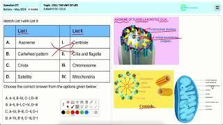 Eukaryotic Cells in Biological Systems: Insights for NEET Botany Q177 May 2024