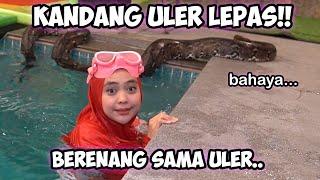 BERENANG SAMA ULER RAKSASA!! Yang Takut Jangan Nonton.. Mermaid Ekstrim!!