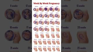Pregnancy Week By Week #pregnancy #pregnancyweekbyweek #pregnancycare