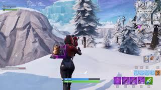 Fortnite ASHOT TOP SHOT