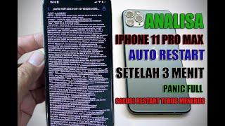 IPHONE 11 PRO MAX Restart Problem