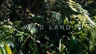 Wild Land | Instrumental music by sixthtulip