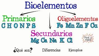 Bioelementos Primarios, Secundarios y Oligoelementos [Fácil y Rápido] | QUÍMICA | | BIOLOGÍA |