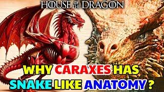 Caraxes Dragon Anatomy – Why Daemon's Dragon Has Snake Like Physiology, Different Than Other Dragons