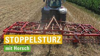 Ultraflacher Stoppelsturz mit Horsch Finer & Horsch Joker