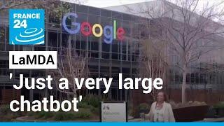 Google's 'sentient' AI system LaMDA 'is really just a very large chatbot' • FRANCE 24 English