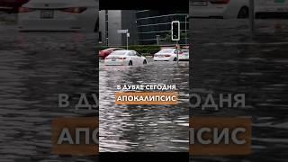 Дубай затопило прямо сейчас! #дубай #новости #shorts