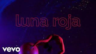 Soda Stereo - Luna Roja (Official Visualizer)