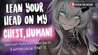 Entering a Dominant Alpha Wolfs Territory  [ Patching You Up | Personal Attention | Binaural Audio]