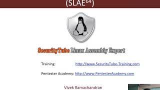 pentesteracademy：x86_64 Assembly Language and Shellcoding on Linux