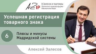 Успешная регистрация товарного знака. № 6. Плюсы и минусы Мадридской системы