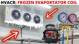 HVACR Service Call: Frozen Evaporator Coil Walk In Cooler (Frozen Evaporator Coil Diagnosis/Repair)